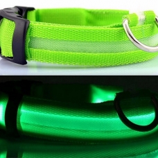Image pour l'annonce Collier a LED