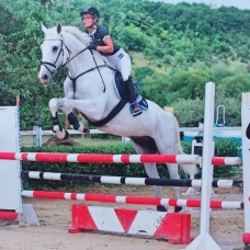 Image pour l'annonce VEND CHEVAL DE SPORT