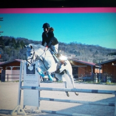 Image pour l'annonce Vend cheval (hongre)