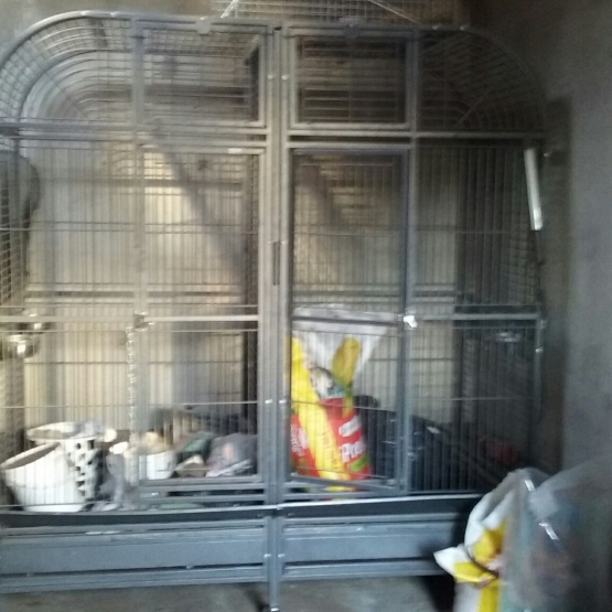 Image pour l'annonce grande volière perroquet