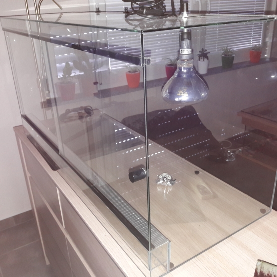 Image pour l'annonce TERRARIUM