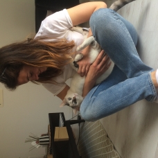 Image pour l'annonce Berlioz 3 ans cherche nouveau foyer