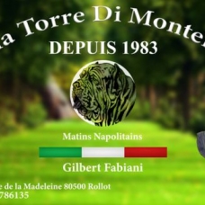 Image pour l'annonce Chiots matin de naples LOF