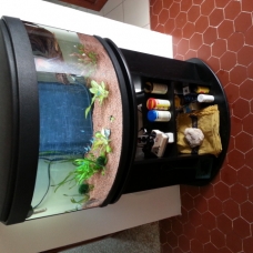 Image pour l'annonce Donne : Aquarium + Poissons + Plantes