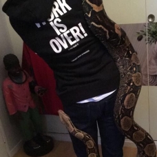 Image pour l'annonce Boa constrictor imperator comombien/hp terra