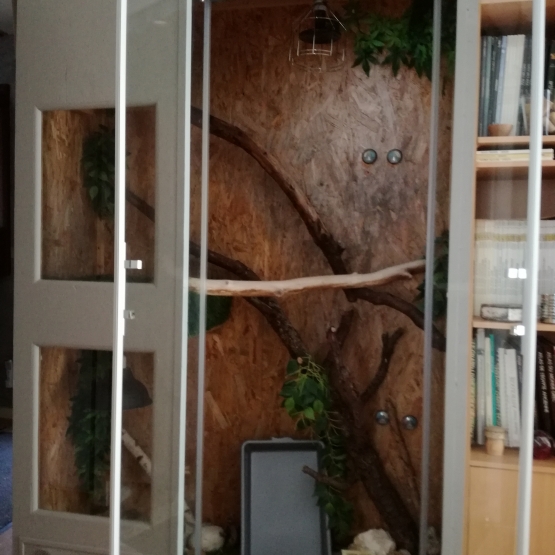 Image pour l'annonce Terrarium Iguane H 2,07m x L 1,37 m x l 0,50m