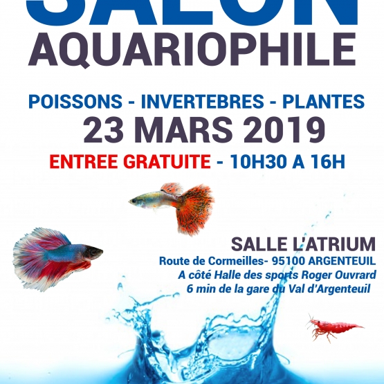 Image pour l'annonce crevettes, poissons,plantes
