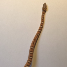 Image pour l'annonce Pantherophis Guttatus Scaleless (femelle 2017)