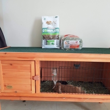 Image pour l'annonce Lapin bélier + maison + nourriture