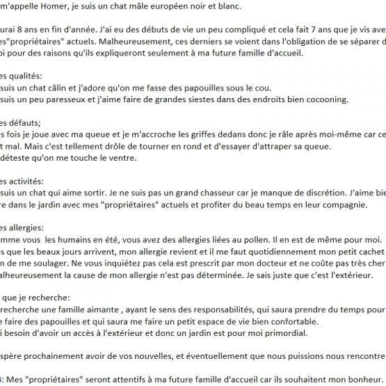 Image pour l'annonce HOMER - RECHERCHE FAMILLE AIMANTE