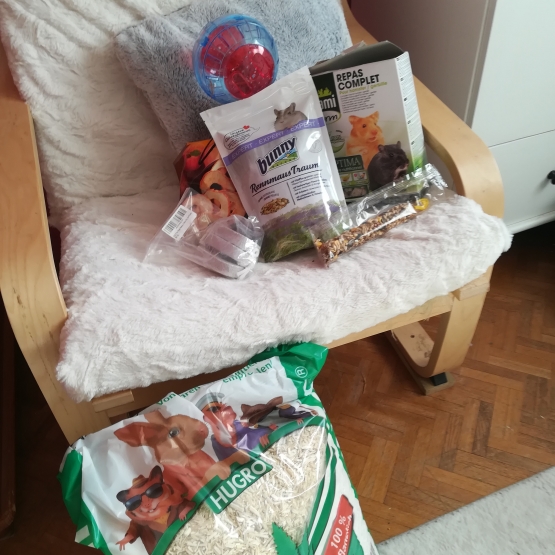 Image pour l'annonce gerbille avec cage, accessoires et nourriture