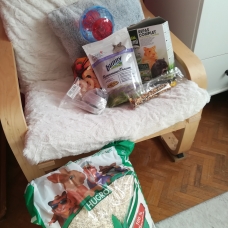 Image pour l'annonce gerbille avec cage, accessoires et nourriture