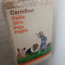 Image pour l'annonce Vend lapine
