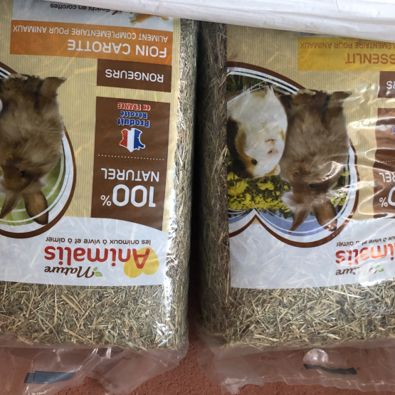 Image pour l'annonce Vente lapin nain mini