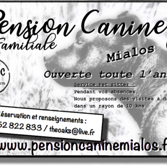 Image pour l'annonce Pension Canine Familiale - Pet Sitting