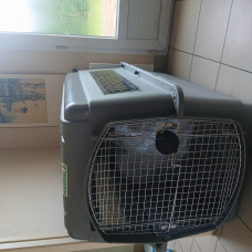 Image pour l'annonce vends caisse de transport chien Taille 5 neuve IATA
