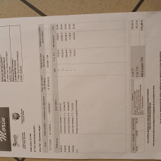 Image pour l'annonce vends caisse de transport chien Taille 5 neuve IATA